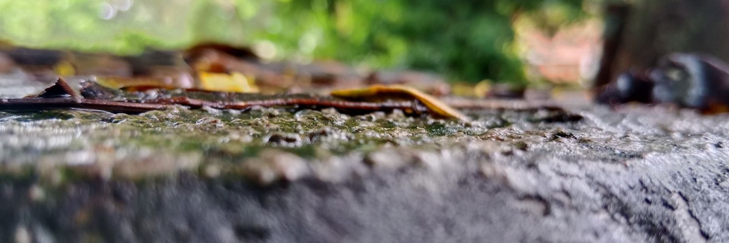 ByronMJSerna's profile banner image
