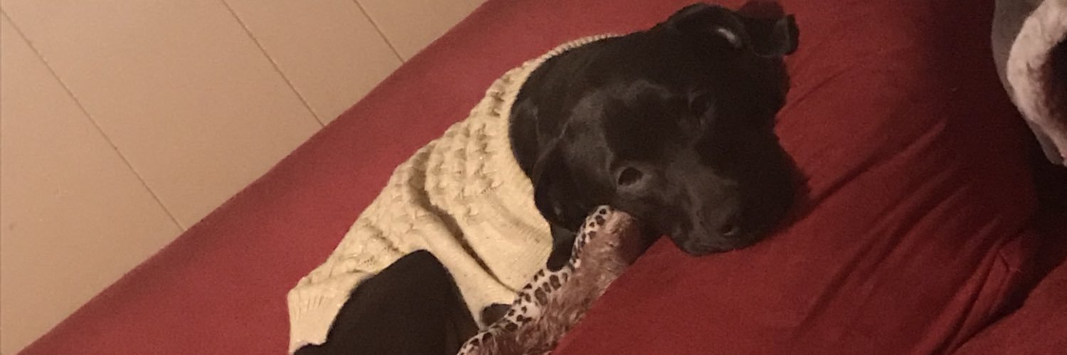 bethjoness16's profile banner image