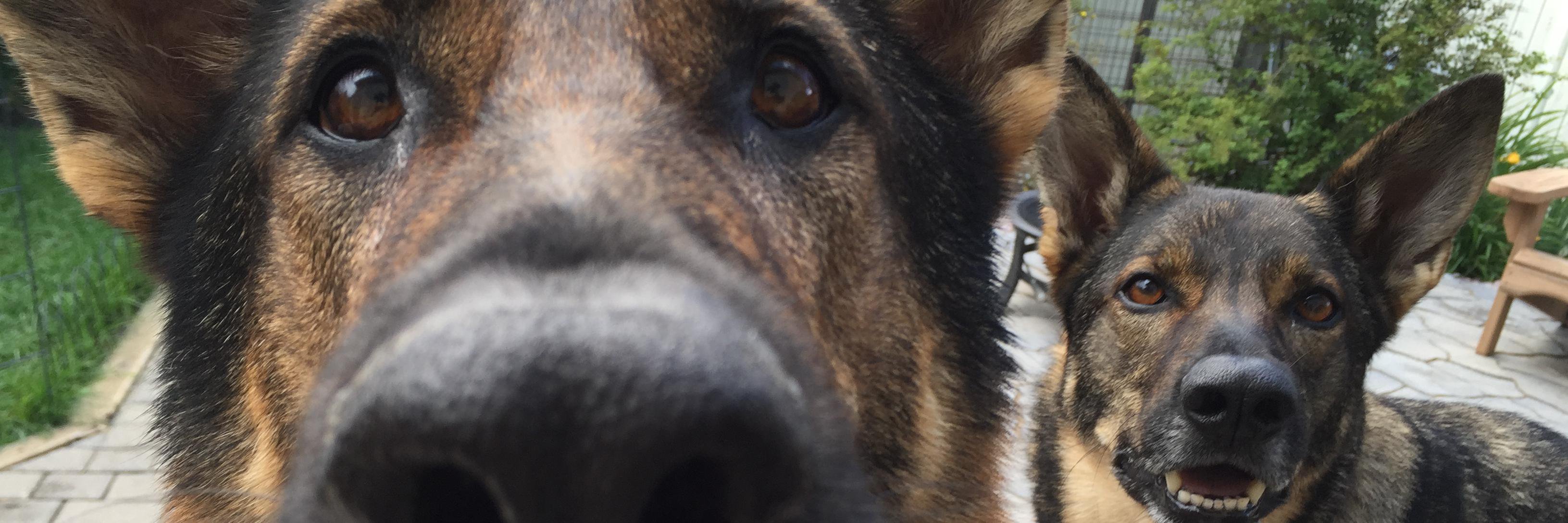 guywith2gsdz's profile banner image