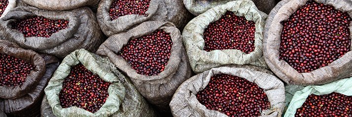 plainedaromes's profile banner image