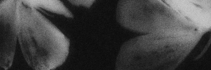 sequinslayter's profile banner image