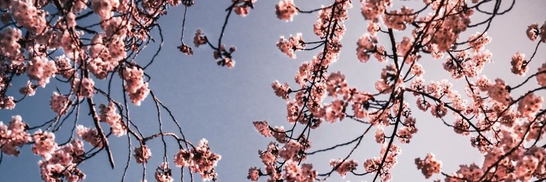 nanda_sntos's profile banner image