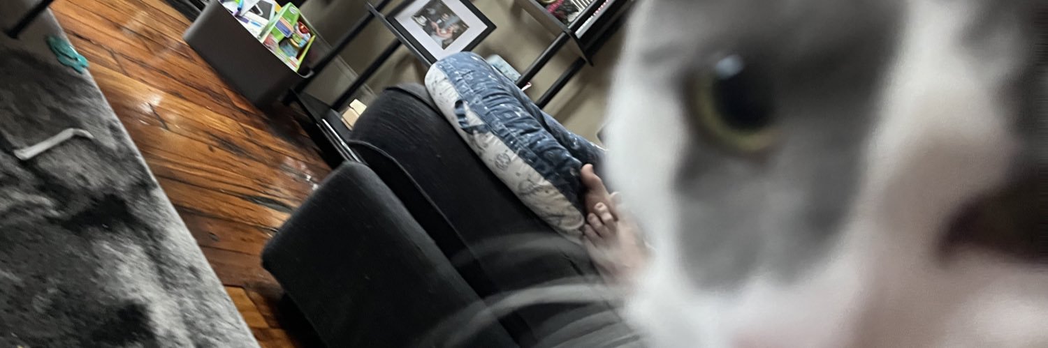 lizardneuman's profile banner image