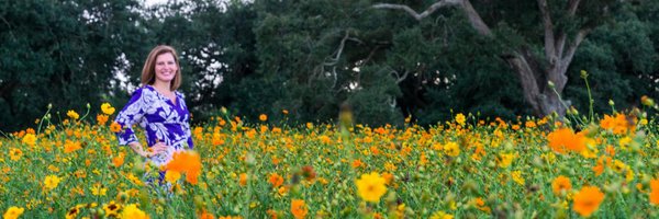 nolamaven Profile Banner