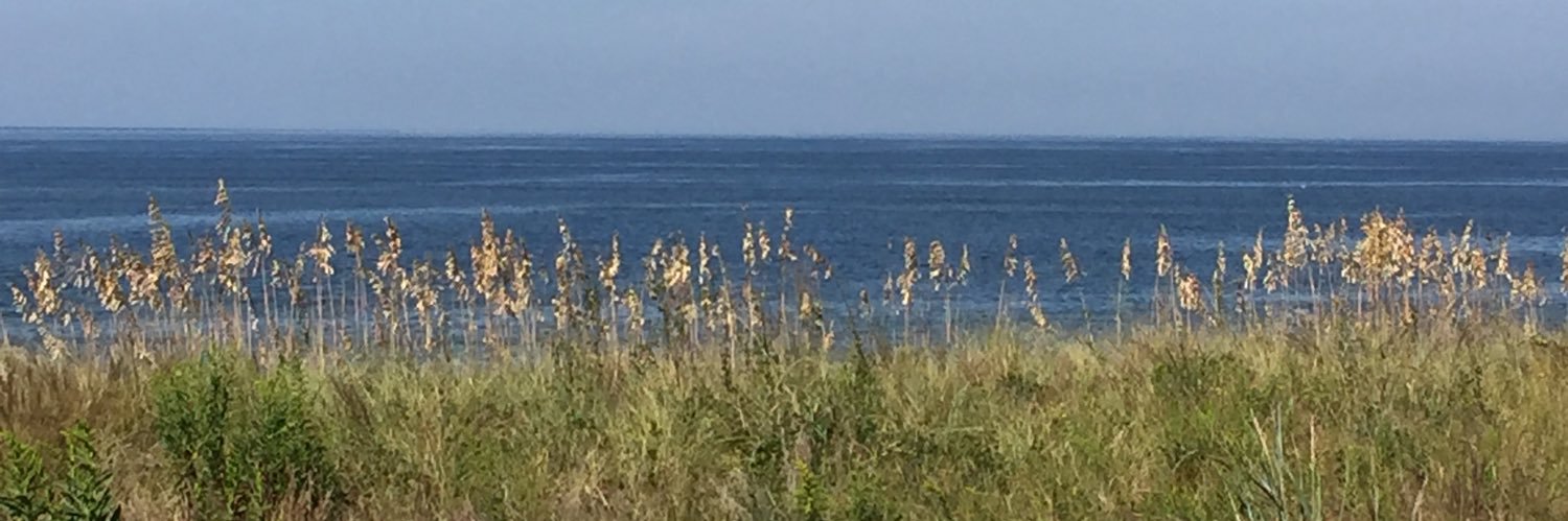 runner1111's profile banner image