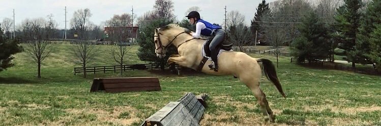 AnnaBixler_'s profile banner image