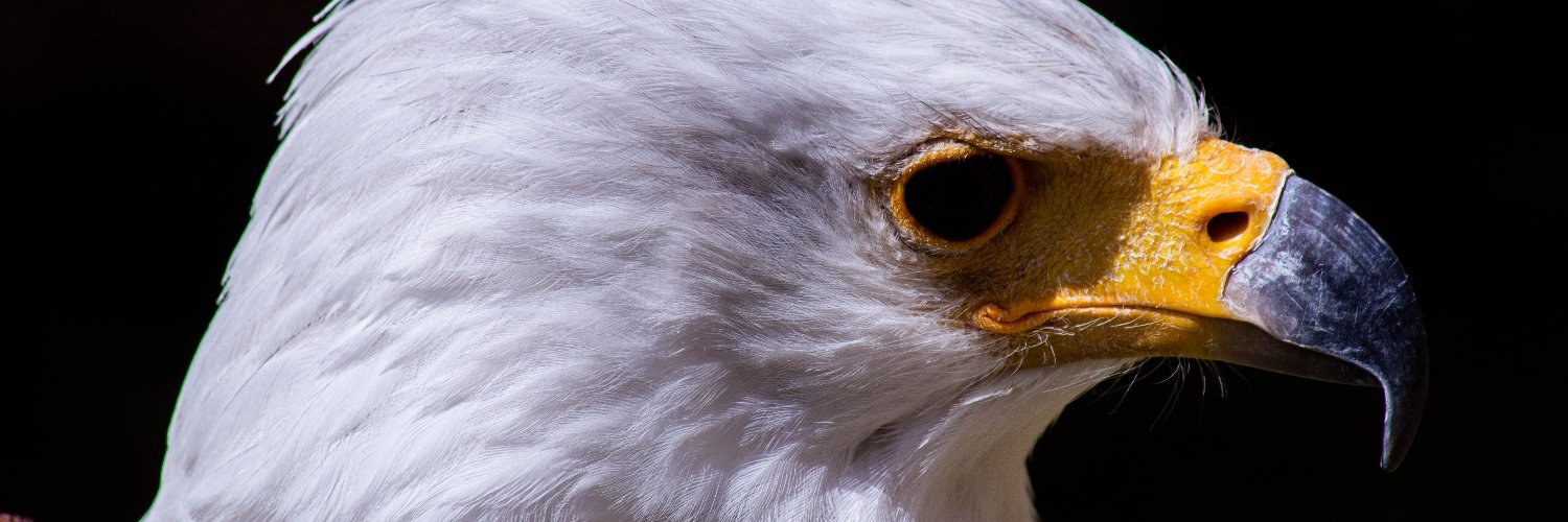 HemeStream's profile banner image