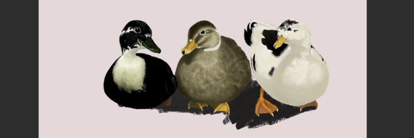 dillinger_duck Profile Banner