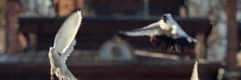 kza28's profile banner image