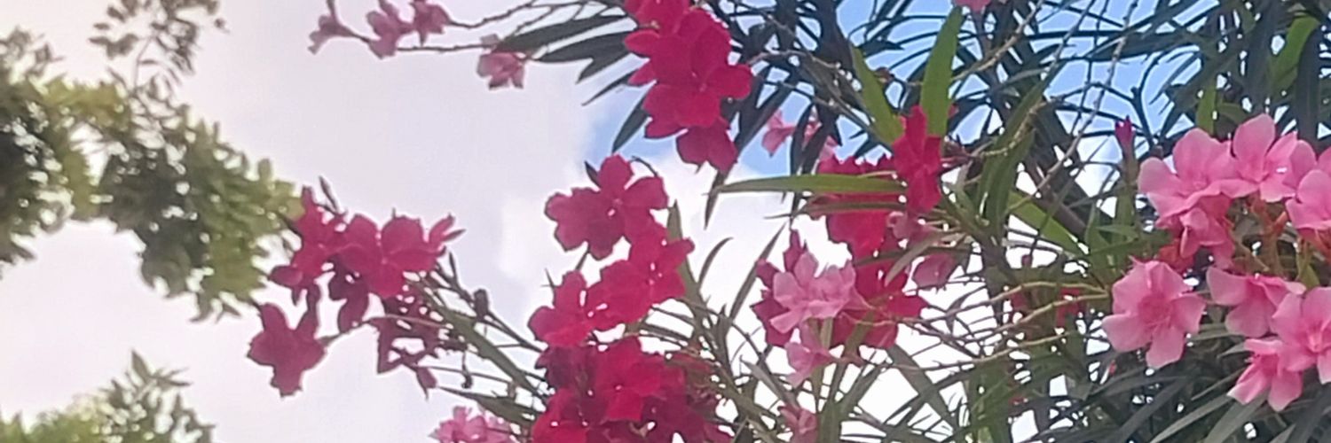 Eymina's profile banner image