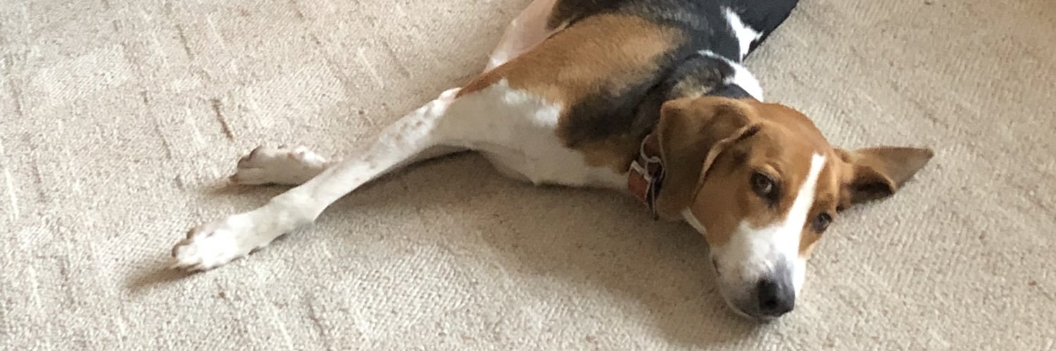 Randy Chilton banner