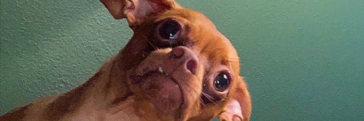 Ryan__Bishop's profile banner image