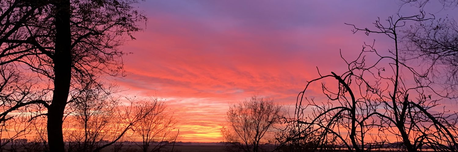 ferrodriguez995's profile banner image