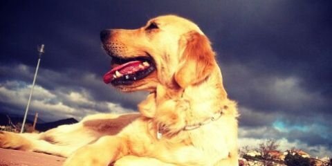 belen95am's profile banner image