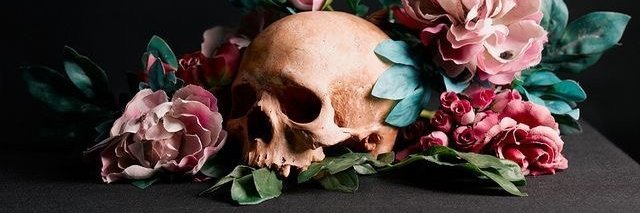 cooompasss's profile banner image