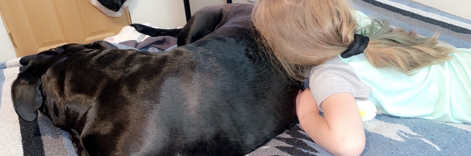 AshleyBenoit3's profile banner image