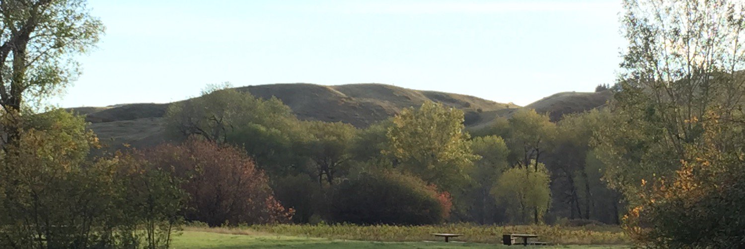 ATA Local No. 41 PD banner