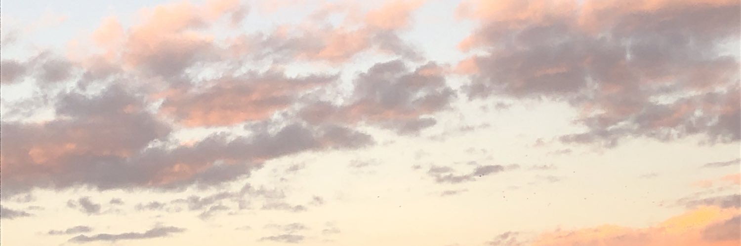 paoolpw's profile banner image