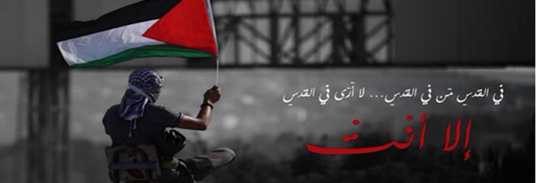 saednabhan's profile banner image