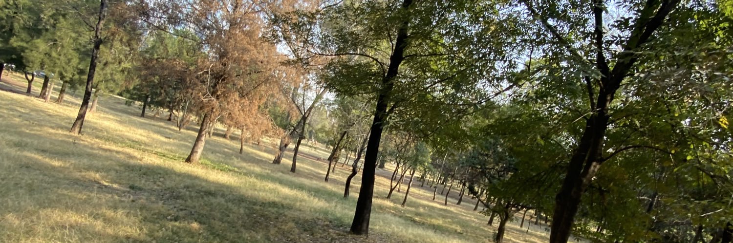 silviapcortes's profile banner image