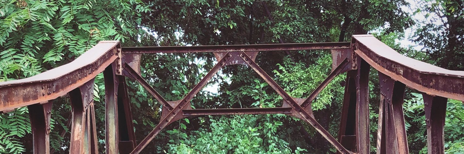 Lauren Murphy, PhD banner