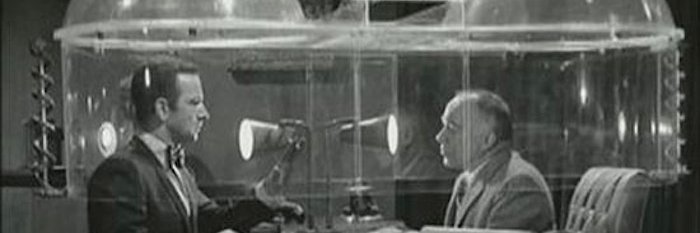 TorsadeDPointes's profile banner image