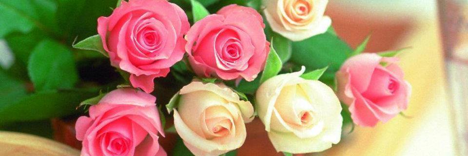 naima_blida's profile banner image