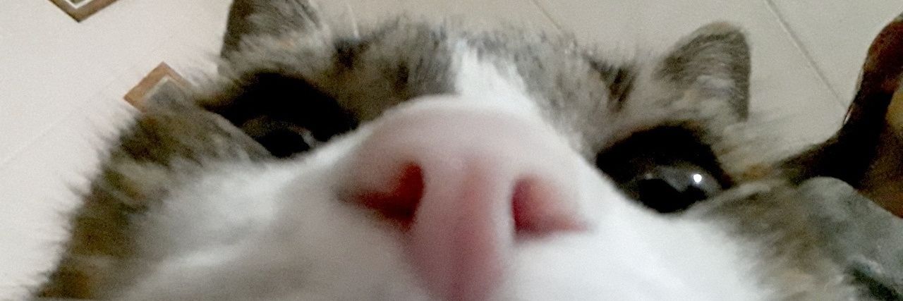 valeedr_'s profile banner image