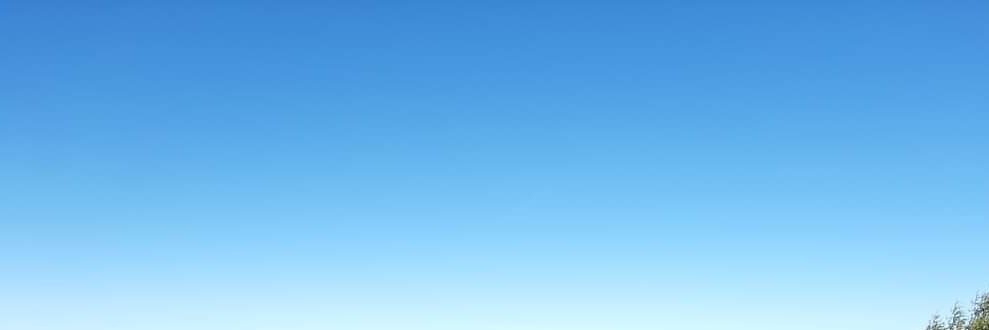 lisulis's profile banner image