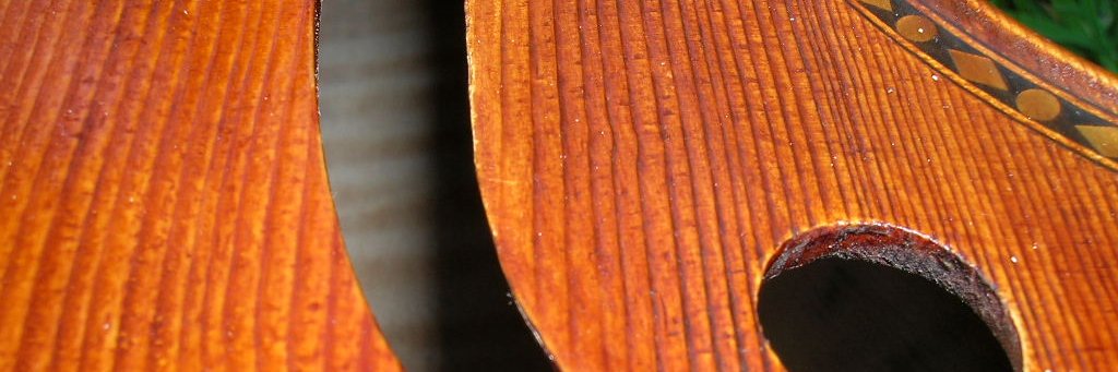 shayrudolph's profile banner image