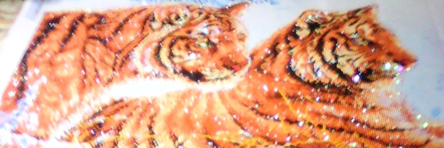 HartTk's profile banner image