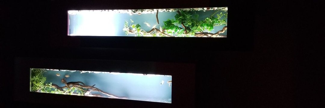 るるる(？) banner