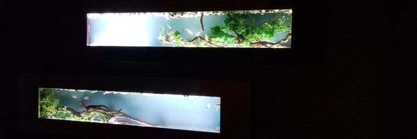ym_inf Profile Banner