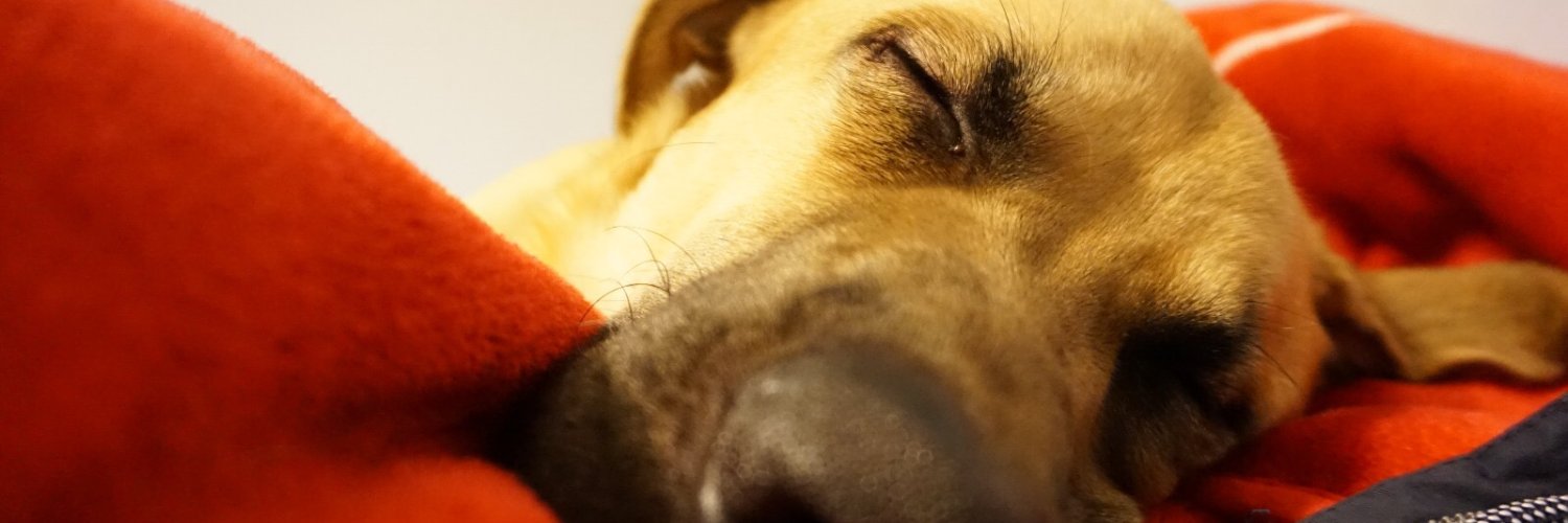 Imkoddy's profile banner image