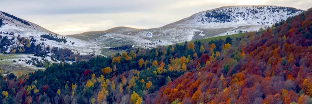 JBiodiversitat's profile banner image