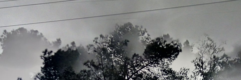 SJannessari's profile banner image