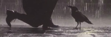 Moshenoo's profile banner image