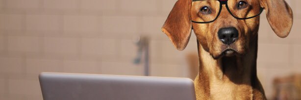 pawsomesocial's profile banner image