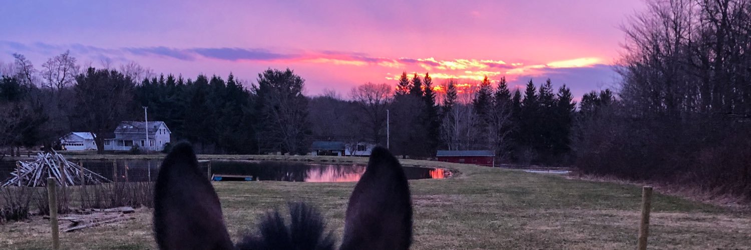 321eventer's profile banner image