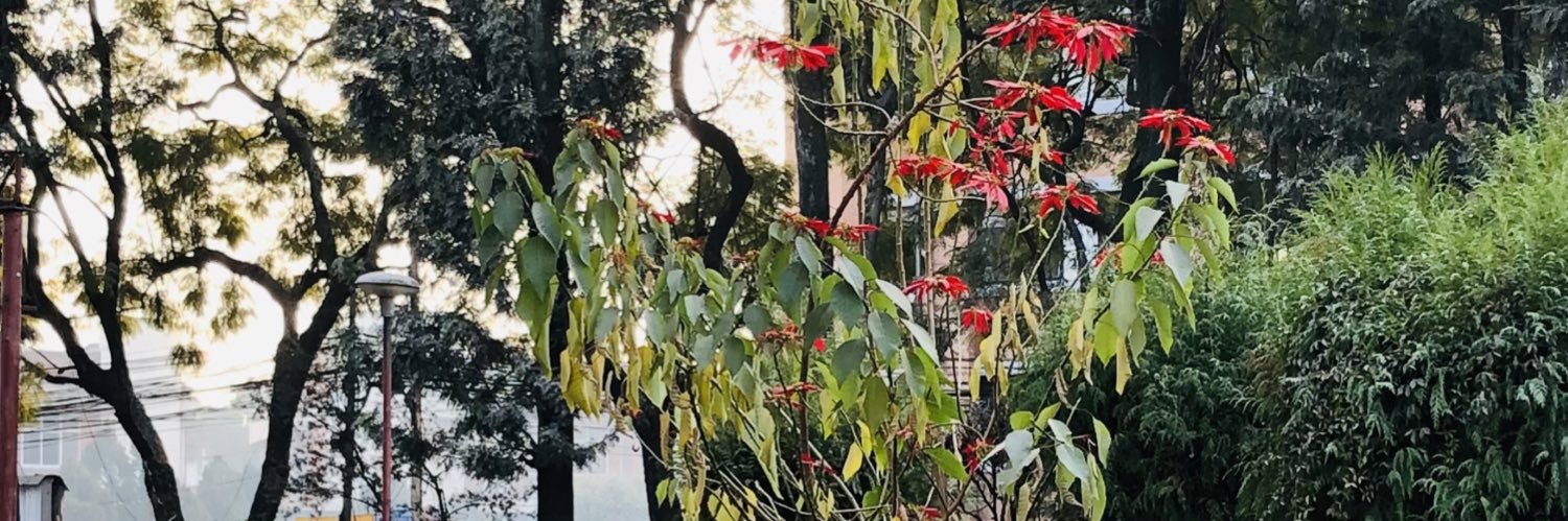 samundraaaa2's profile banner image