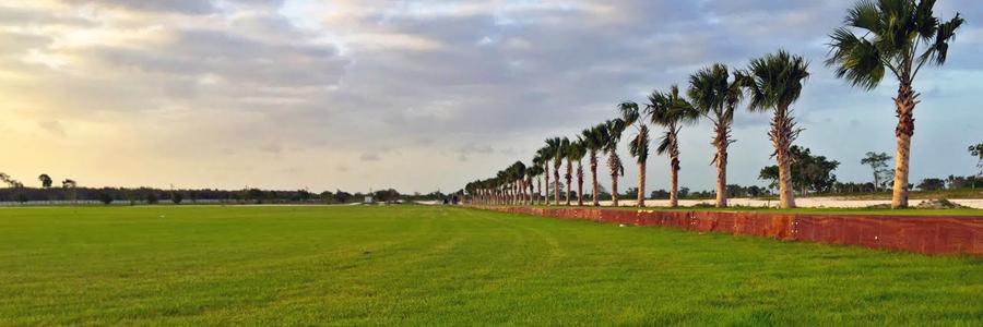 Polo Challenge RD banner