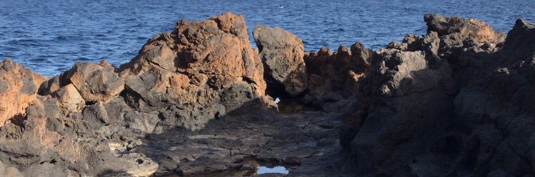 Clau 🍒 banner