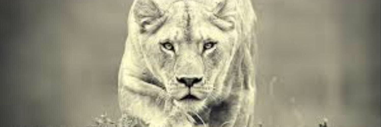 crazy77997's profile banner image