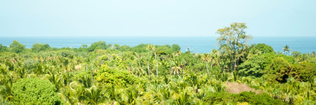 JulioHRpo's profile banner image