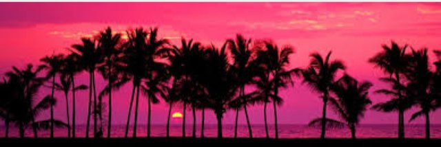 C_B3LL's profile banner image