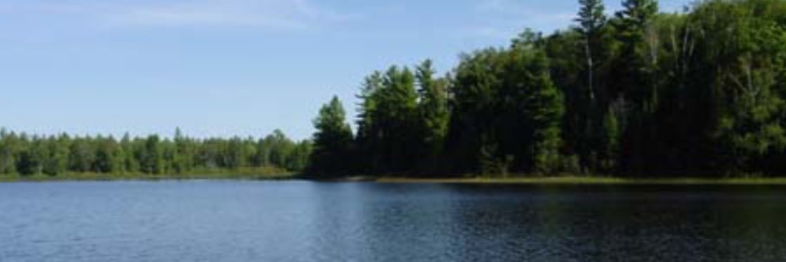 malybobr's profile banner image
