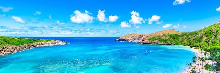 yuitohime's profile banner image