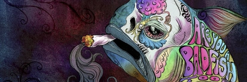 _annacondaaa's profile banner image