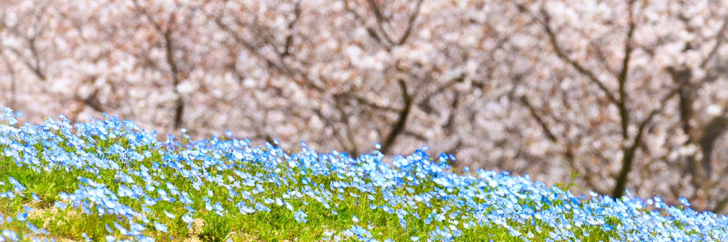 monyukuma958's profile banner image