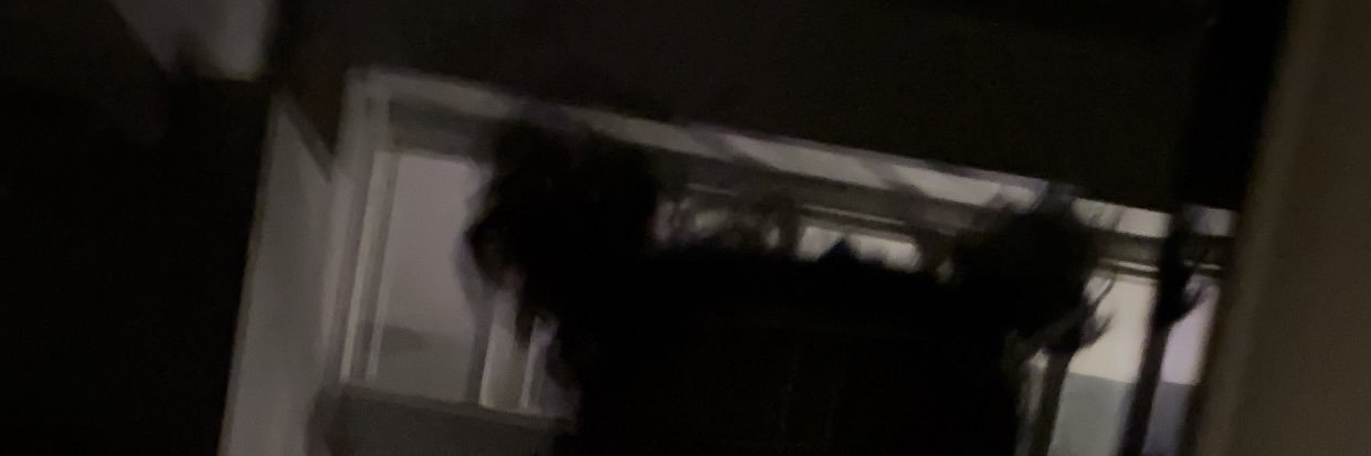 𝄞 eriseris banner